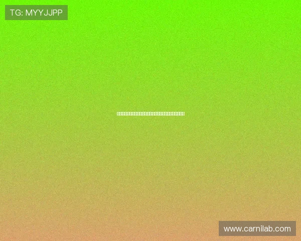 稳定可靠的真人视讯登录官方线路带来持续的高品质游戏享受