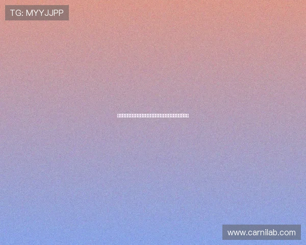 世界杯美国对巴拉圭比赛中核心球员的战术作用与比赛亮点总结